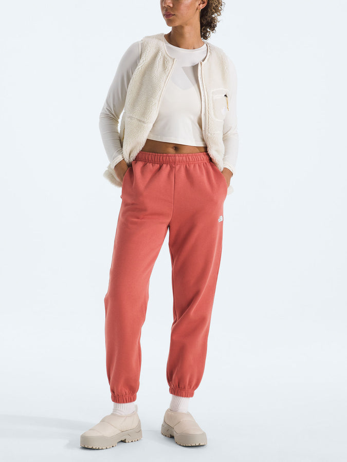 The North Face Evolution Simple Dome Pants Fall 2025 | MARS DUST (BOU)