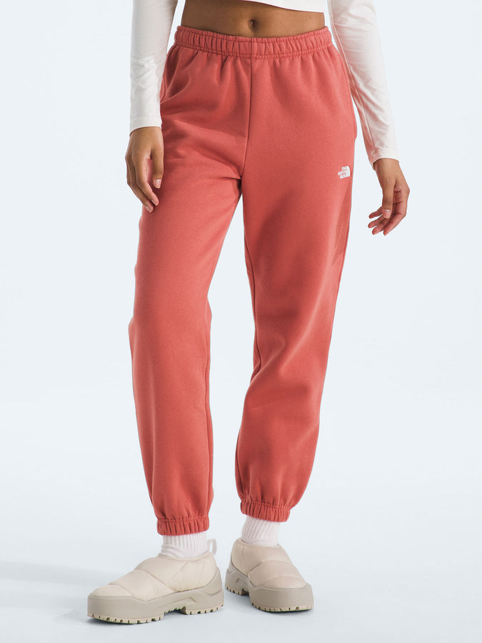 The North Face Evolution Simple Dome Pants Fall 2025 | MARS DUST (BOU)