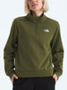 TNF Evolution Simple Dome 1/4 Zip Sweater Fall 2025