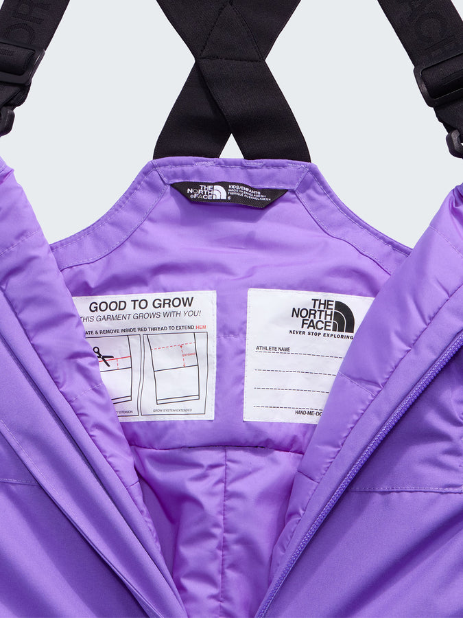 The North Face Freedom Insulated 2027 – Insulated Bib | ELEVATION PURPLE (PB5)