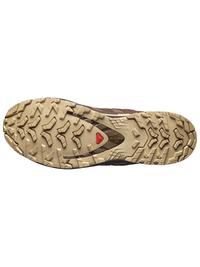 Salomon XA Pro 3D V9 GTX Dark Earth/Tan/Blk Shoes Spring 2026 | DARK EARTH/DESERT TAN/BLACK