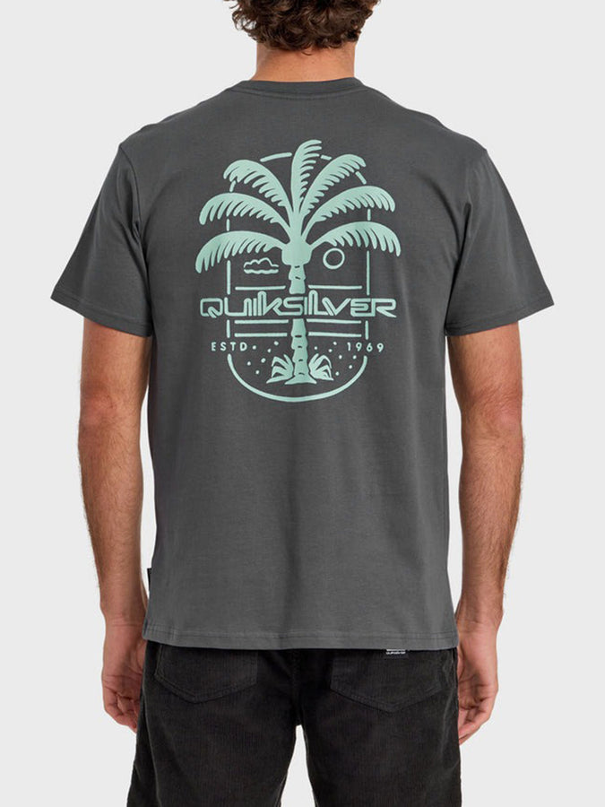 Quicksilver Uno Palm T-Shirt Spring 2026 | IRON GATE (KZM0)