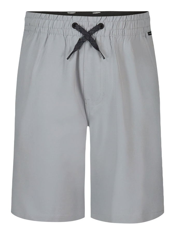Quiksilver Taxer Amphibian Shorts Spring 2026 | QUARRY (032)