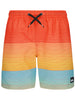 Quiksilver Everyday Mix Volley Boardshorts Spring 2026