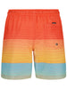 Quiksilver Everyday Mix Volley Boardshorts Spring 2026