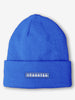 Headster Resort Fleece Lined Beanie
