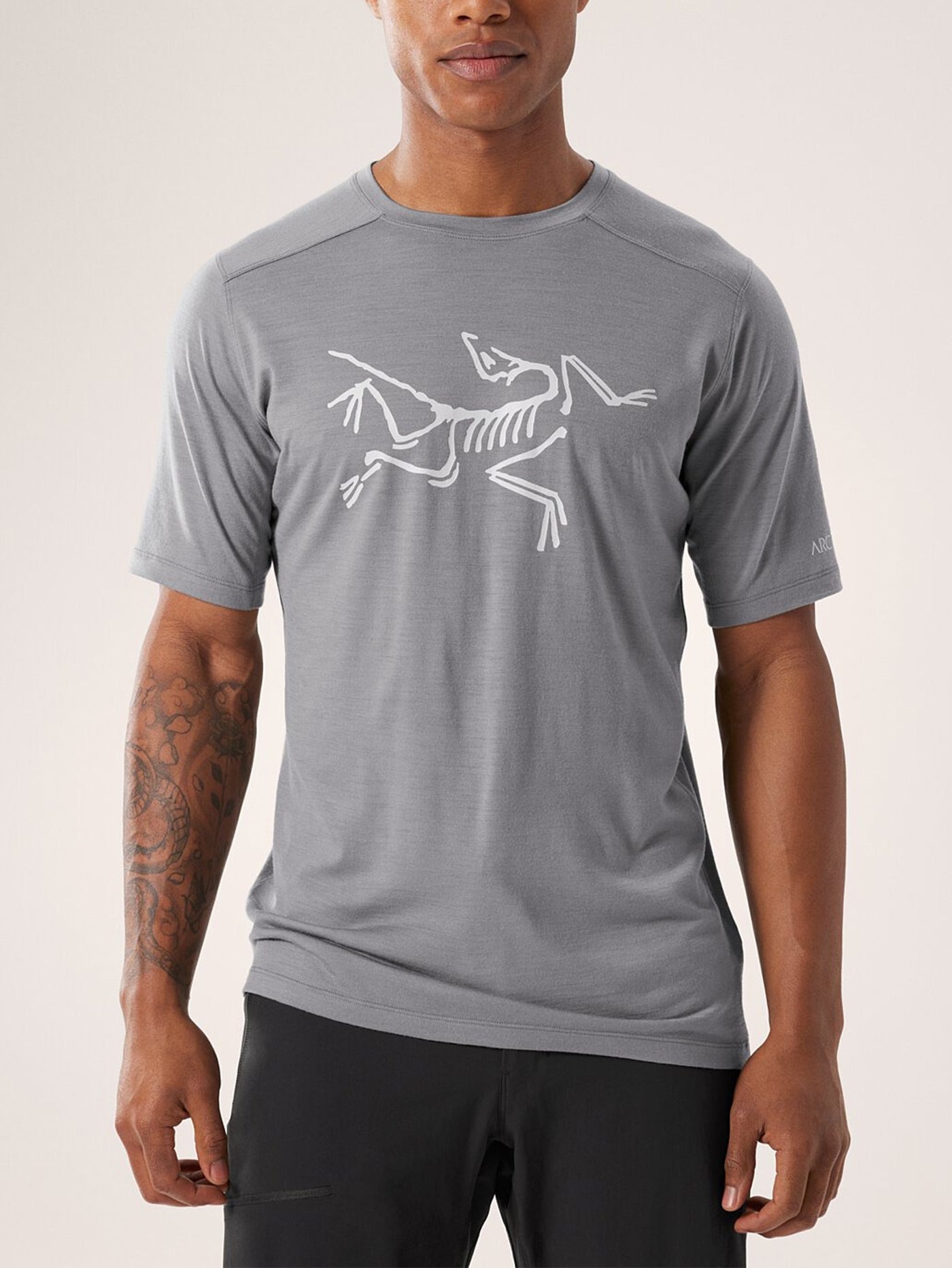 Arcteryx Ionia Merino Wool Logo T-Shirt Spring 2024