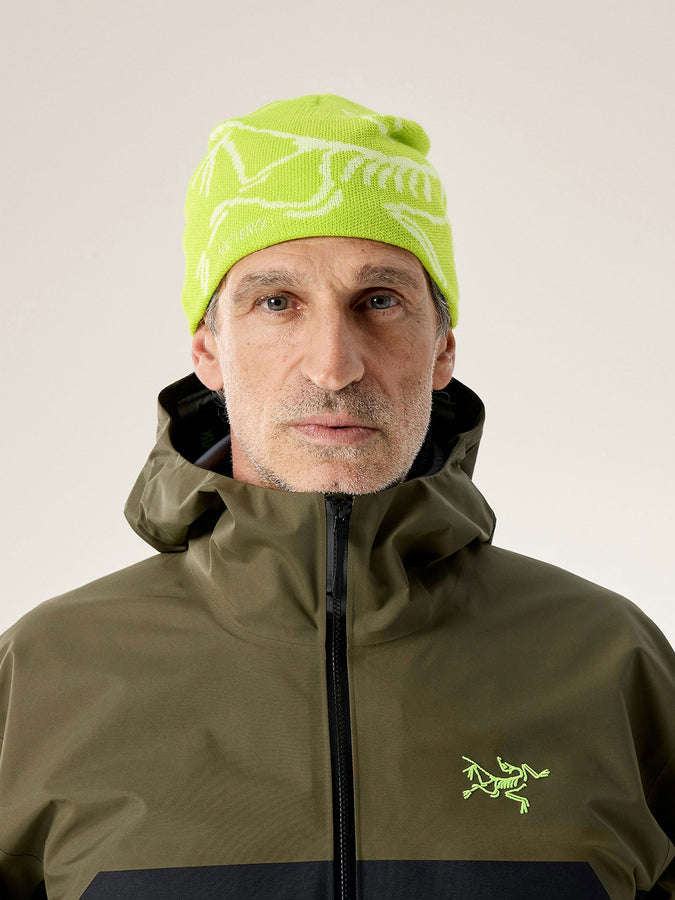 Arcteryx Bird Head Beanie | MANTIS/ARCTIC SILK