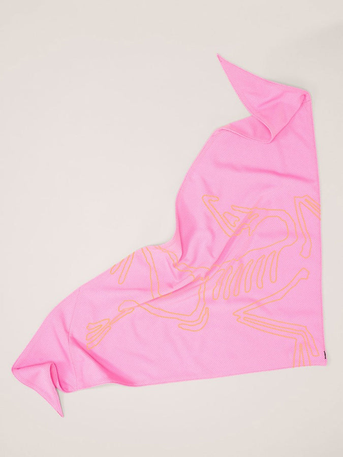 Arc'teryx Sinsolo Bandana | PINEBERRY
