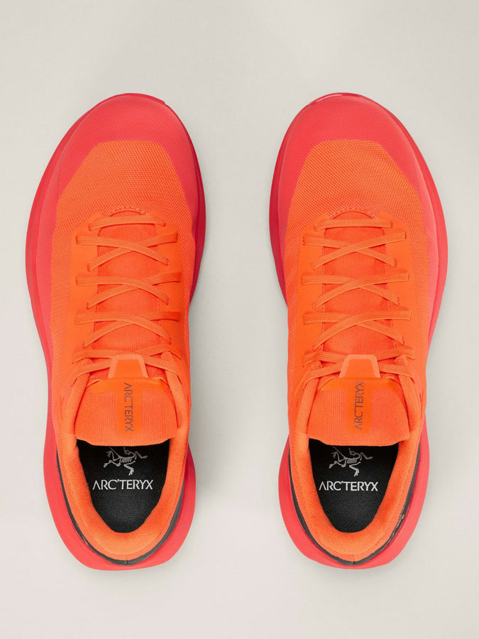 Arc'teryx Norvan LD 4 Solaris/Dynasty Shoes Spring 2026 | SOLARIS/DYNASTY