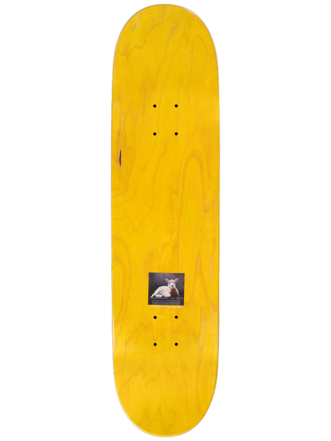 Sci-Fi Fantasy Jerry Hsu Lamb 8.25'' Skateboard Deck 2025 | MULTI