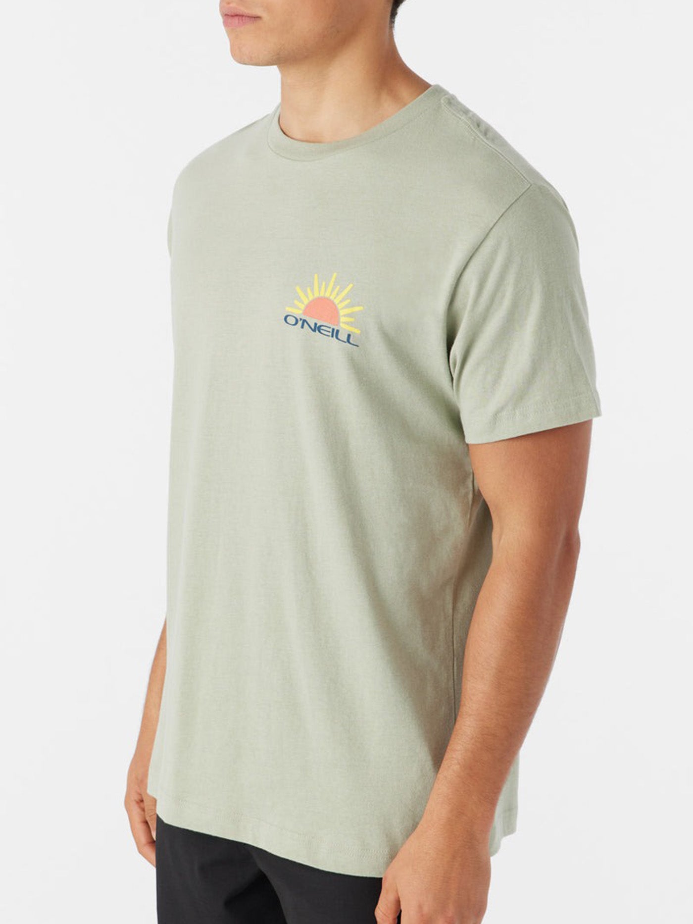 O'Neill Sun Swell Short Sleeve T-Shirt Summer 2024