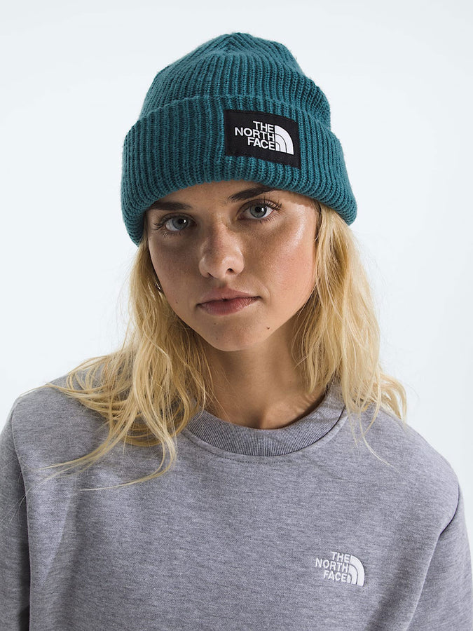 The North Face Salty Lined Beanie | SPACE (BQ5)