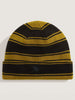 Vans Skate Blurry Stripe Beanie