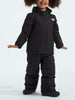 The North Face Freedom Insulated Jacket Winter 2026
