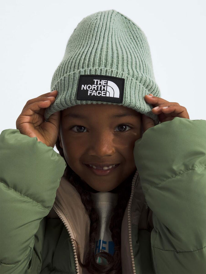 TNF Logo Box Cuffed Beanie | SLATE MOSS (BQ1)