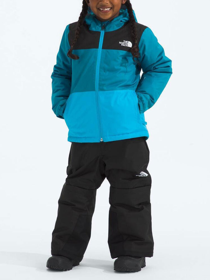 The North Face Freedom Insulated Jacket Winter 2026 | DUSK BLUE/MERIDIAN BLUE (D20)