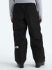 The North Face GORE-TEX Hex Pants Winter 2026