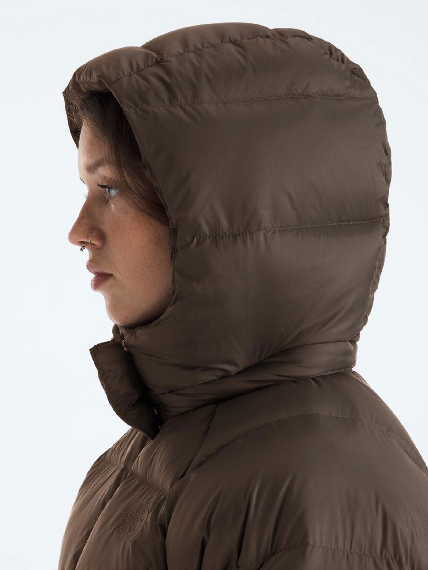 TNF Hydrenalite City Down Hooded Parka Jacket Holiday 2025