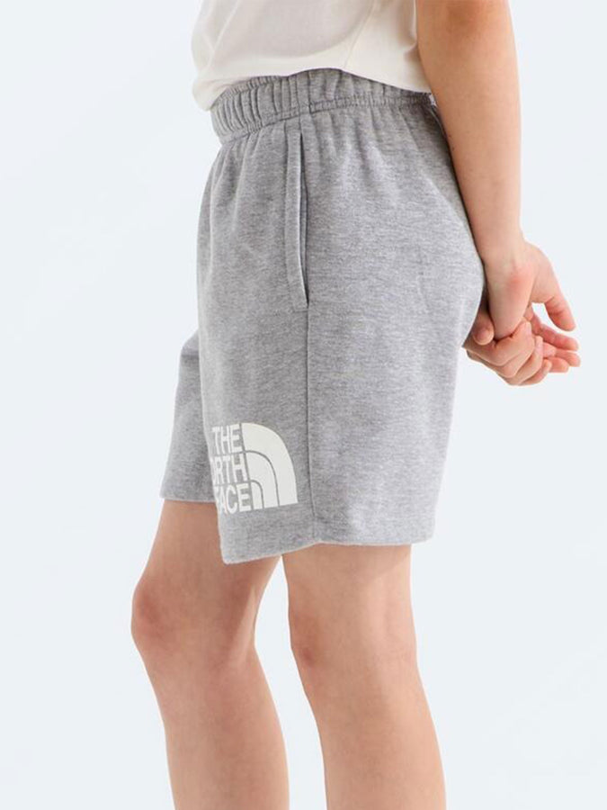 The North Face Evolution Half Dome Shorts Spring 2026 | TNF PALE GREY HEATHER (CQO)