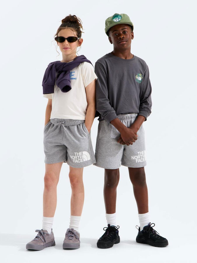 The North Face Evolution Half Dome Shorts Spring 2026 | TNF PALE GREY HEATHER (CQO)