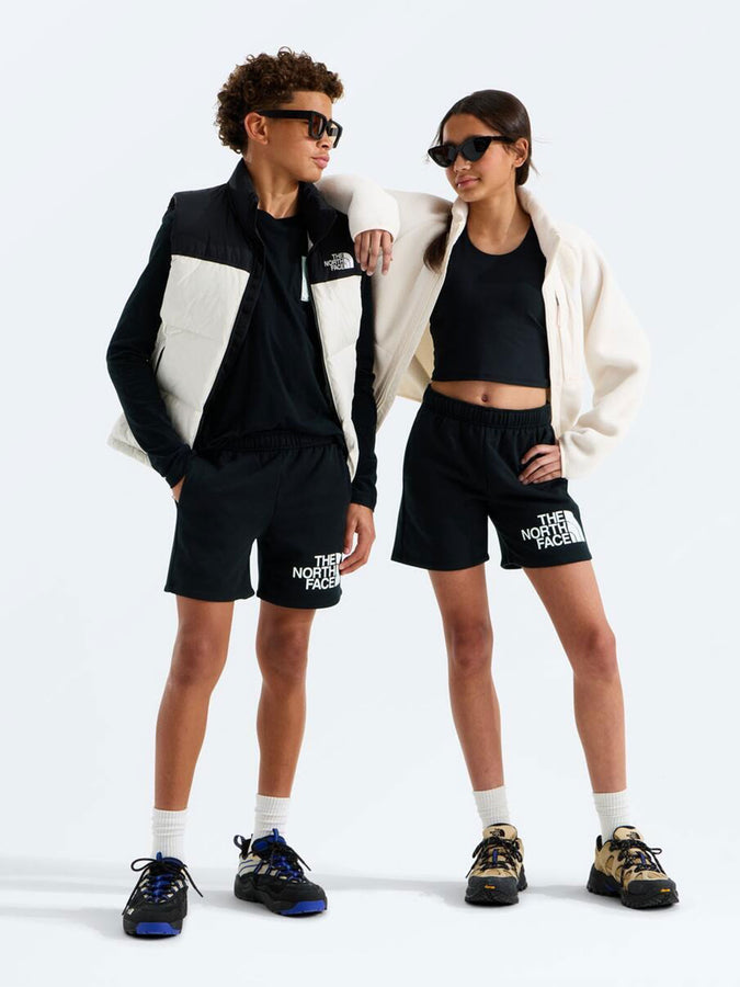 The North Face Evolution Half Dome Shorts Spring 2026 | TNF BLACK (JK3)