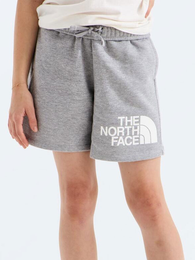 The North Face Evolution Half Dome Shorts Spring 2026 | TNF PALE GREY HEATHER (CQO)