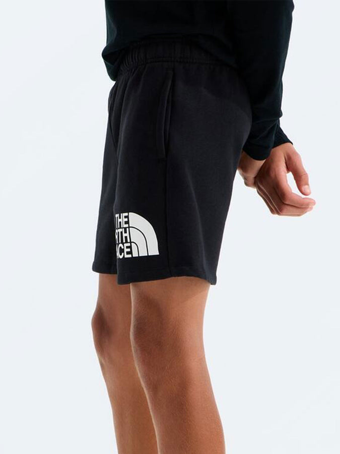 The North Face Evolution Half Dome Shorts Spring 2026 | TNF BLACK (JK3)
