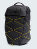The North Face Borealis Backpack