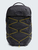 The North Face Borealis Backpack