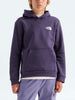 The North Face Evolution Print Box NSE Hoodie Fall 2026