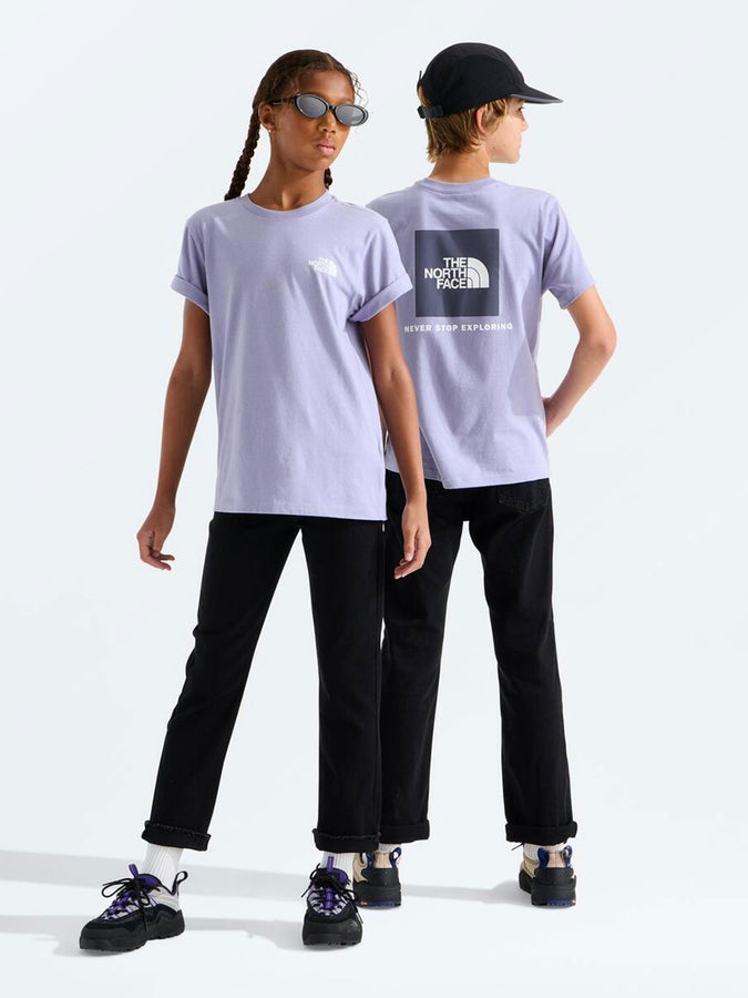The North Face Evolution Box NSE T-Shirt Fall 2026 | PALE PLUM (NO5)