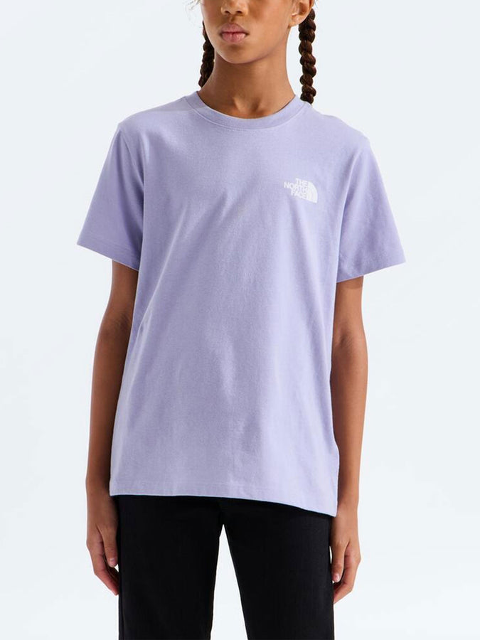 The North Face Evolution Box NSE T-Shirt Fall 2026 | PALE PLUM (NO5)