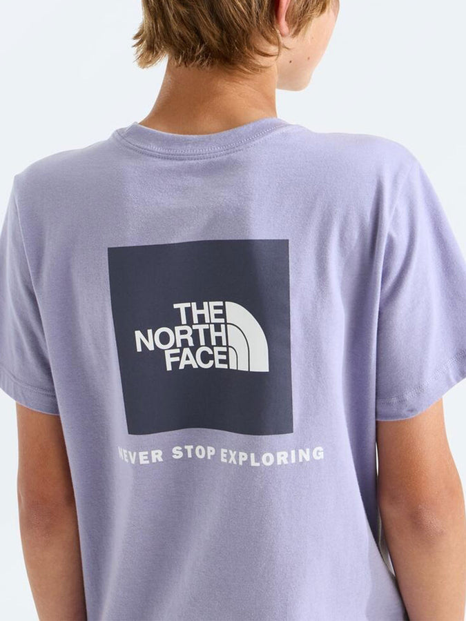 The North Face Evolution Box NSE T-Shirt Fall 2026 | PALE PLUM (NO5)