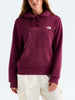The North Face Evolution Simple Dome Hoodie Fall 2026