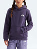The North Face Evolution Print Box NSE Hoodie Fall 2026