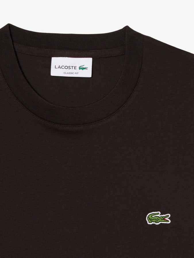 Lacoste Cotton T-Shirt Spring 2026 | BROWN (3LA)