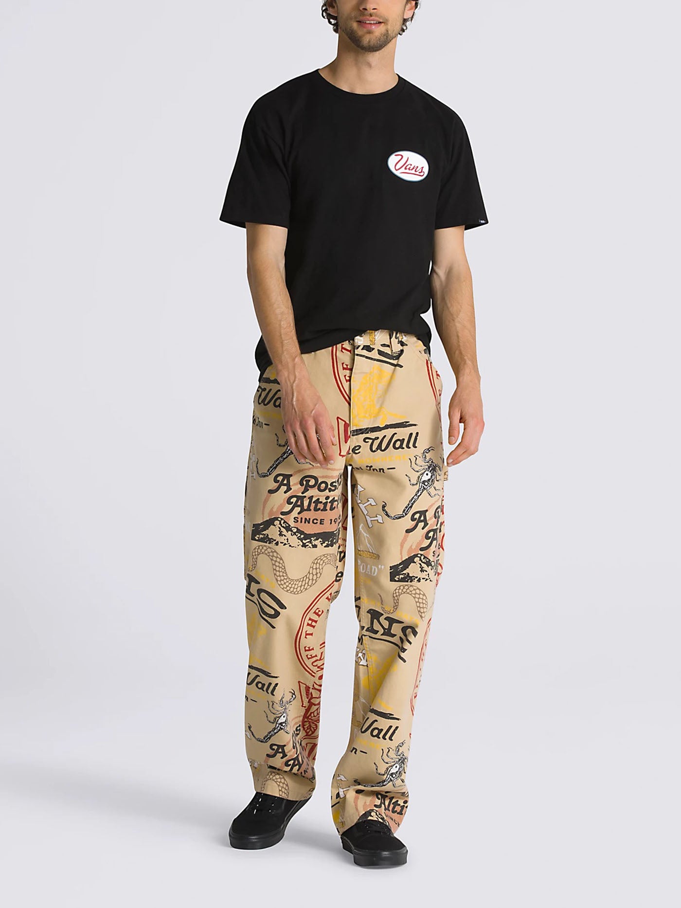 Vans best sale carpenter pants