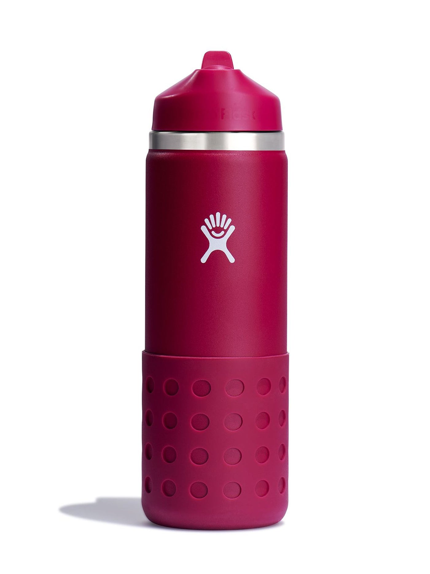 Hydro Flask 20 Oz Wide Mouth With Straw Lid Snapper Bottle