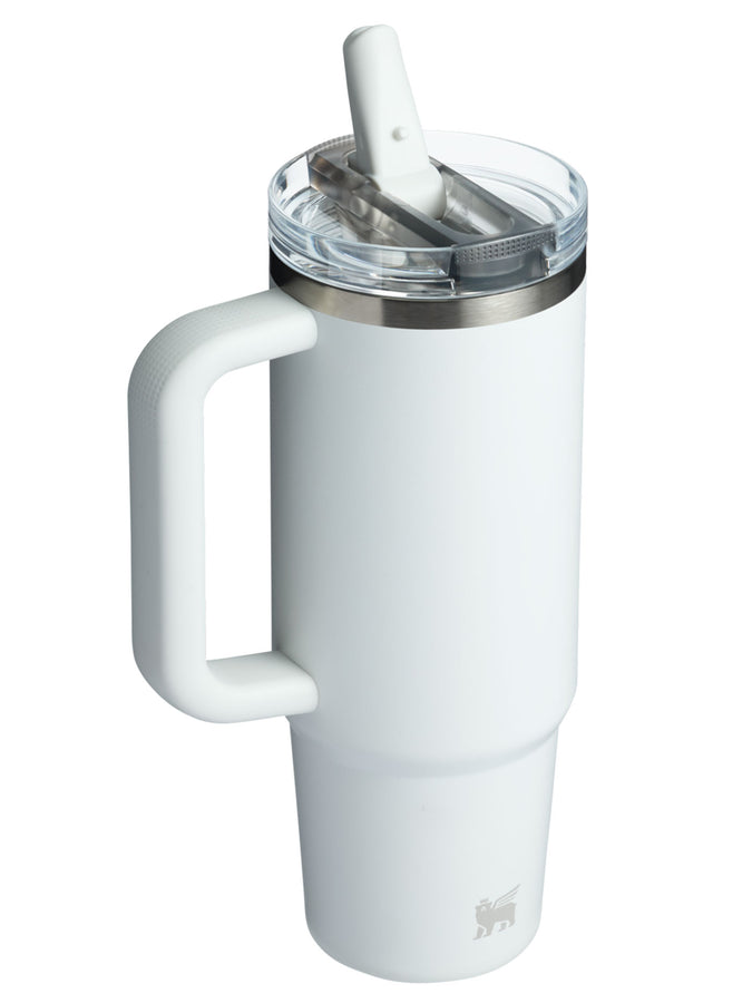 Stanley Quencher Protour Flip Straw 30oz Tumbler | FROST