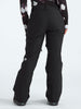 The North Face Freedom Insulated Pants Winter 2026