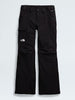 The North Face Freedom Insulated Pants Winter 2026