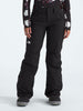 The North Face Freedom Insulated Pants Winter 2026