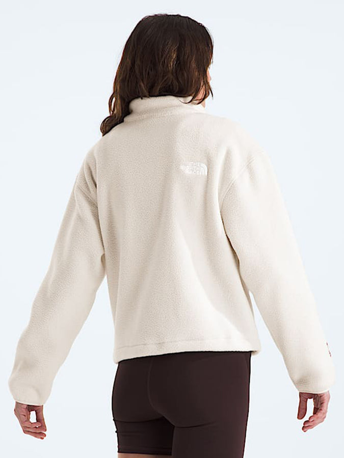The North Face TNF Fleeski 1/4 Zip Fleece | WHITE DUNE (QLI)