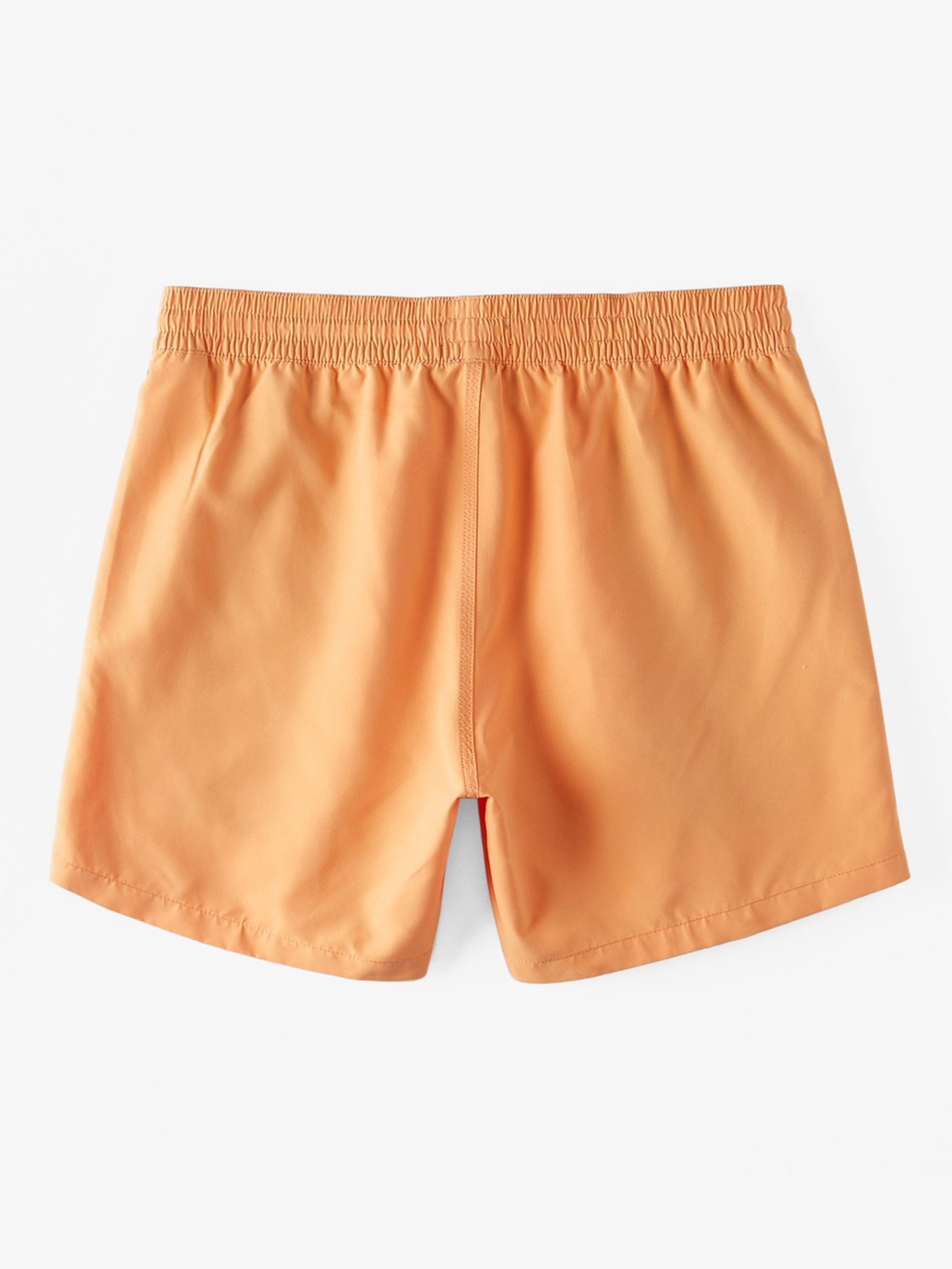 Billabong All Day Layback Boardshort Summer 2024