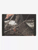 Carhartt Wip Alec Camo Feather Tree/Black Wallet