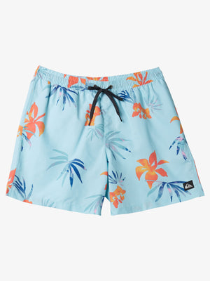 Quiksilver Everyday Mix Volley 12" Boardshorts Spring 2024