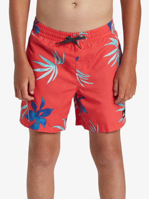 Quiksilver Everyday Mix Volley 14" Boardshorts Spring 2024