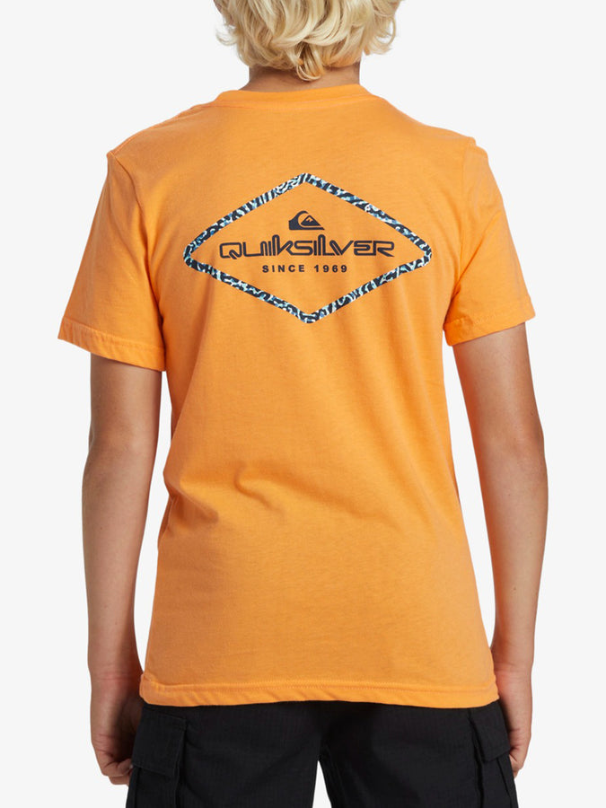 Quiksilver Omni Lock T-Shirt Spring 2024 | TANGERINE (NJF0)