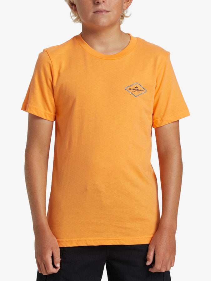Quiksilver Omni Lock T-Shirt Spring 2024 | TANGERINE (NJF0)